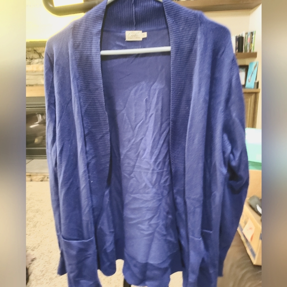 Blue sweater